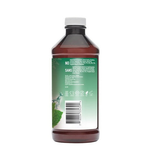 Desert Essence, Prebiotic Plant-Based Brushing Rinse Mint, 16 Oz