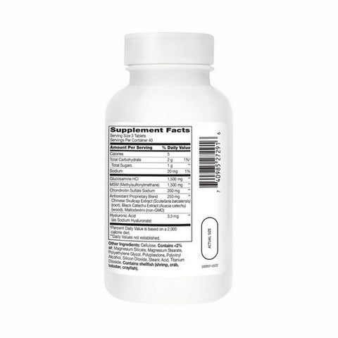 21st Century, 21st Century Glucosamine Chondroitin Advanced Plus MSM Tablets, 120 Tabs