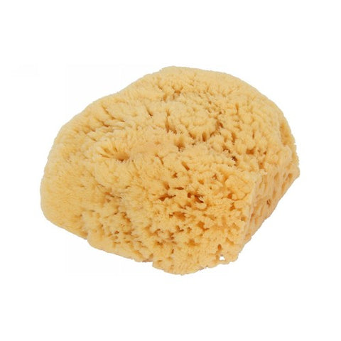 Bass Brushes, Natural Sea Sponge Bath-Shower Large, 1 Count