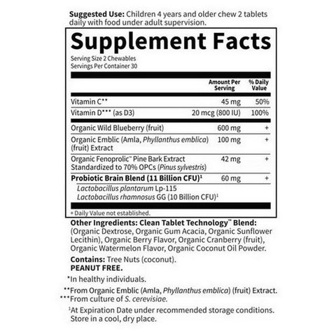 Garden of Life, Dr. Formulated Brain Health Attention & Focus for Kids, Watermelon Berry Flavor, 60 Chewable Tabs