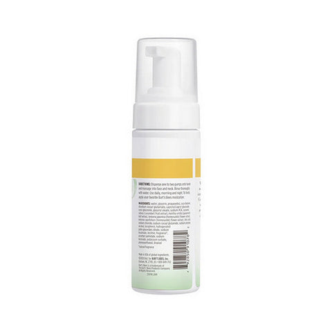 Burts Bees, Facial Care Gentle Foaming Cleanser, 4.8 Oz
