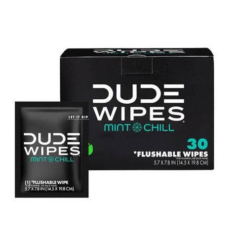 Dude Wipes, Mint Chill On The Go Flushable Personal Wipes, 30 Count