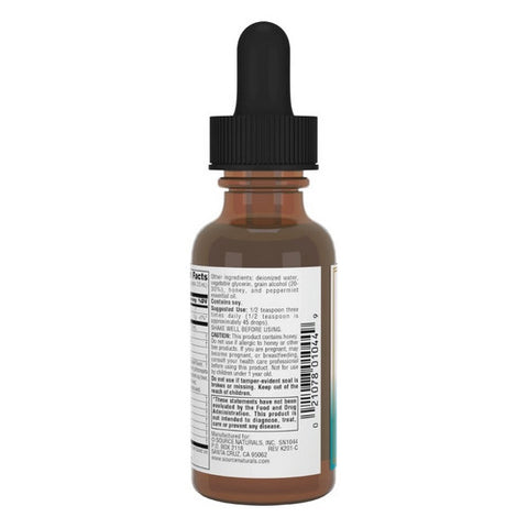 Source Naturals, Wellness Herbal Resistance Liquid Standard Formula, 2 Oz