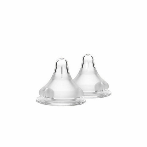 Lansinoh Laboratories, Fast Flow Nipples, 2 COUNT