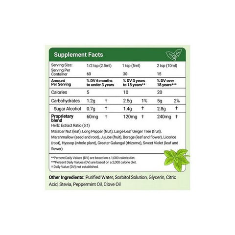 Herbion Naturals, Throat Syrup With Stevia, 5 oz