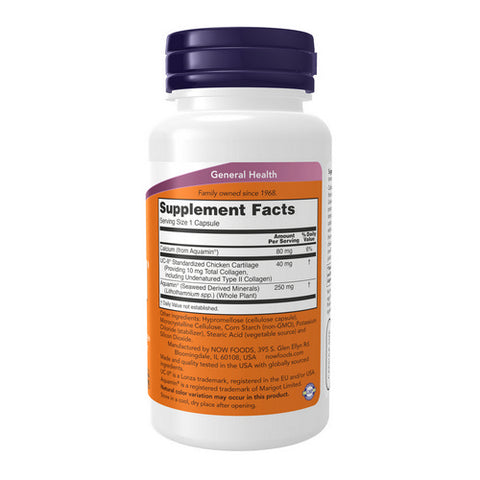 Now Foods, UC-II Type II Collagen, 120 Vcaps