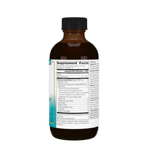 Source Naturals, Wellness Herbal Resistance Liquid Standard Formula, 4 Fl Oz