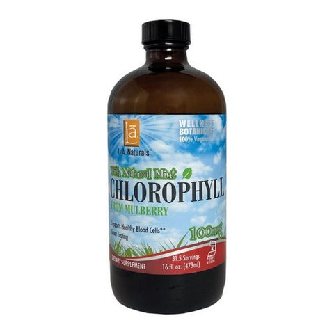 L. A .Naturals, Chlorophyll with Spearmint, 100 mg, 16 Oz