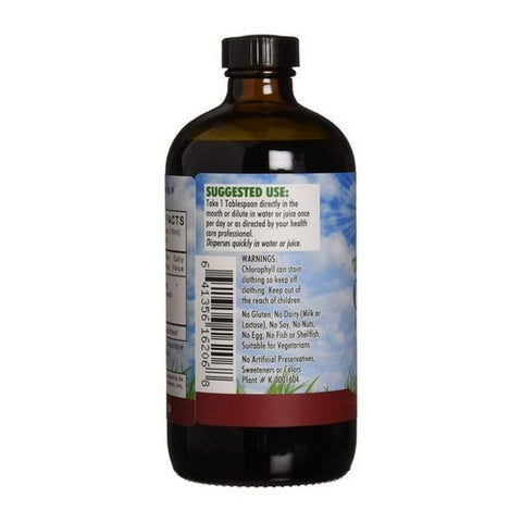 L. A .Naturals, Chlorophyll with Spearmint, 100 mg, 16 Oz