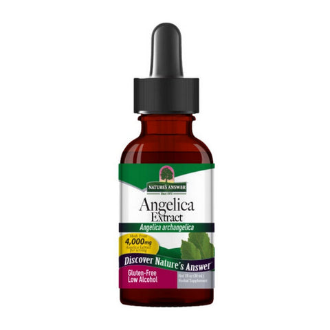 Nature's Answer, Angelica Root Extract, 1 Oz