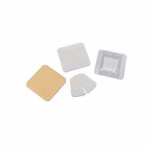 Kendall, Foam Dressing, Case Of 5