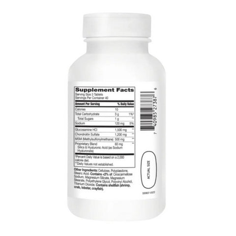 21st Century, Glucosamine & Chondriotin Plus, 120 Tabs