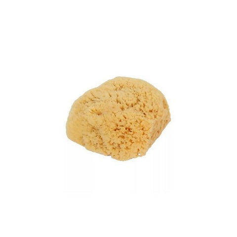 Bass Brushes, Natural Sea Sponge Bath-Shower Large, 1 Count
