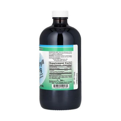 World Organics, Chlorophyll, 100 mg, Liquid 16 Oz