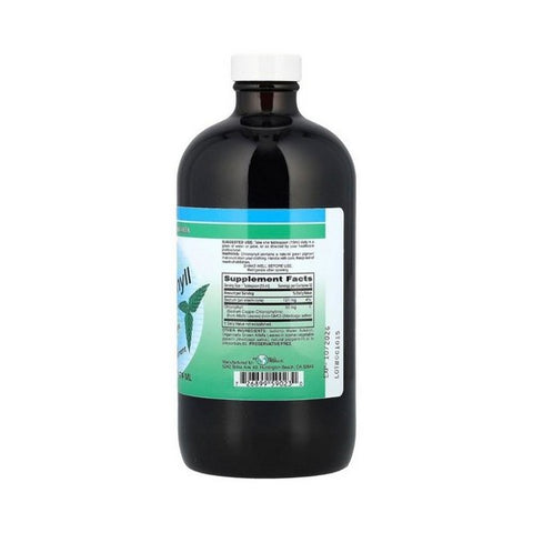 World Organics, Chlorophyll, 50 mg, w/Peppermint Liquid 16 FL Oz
