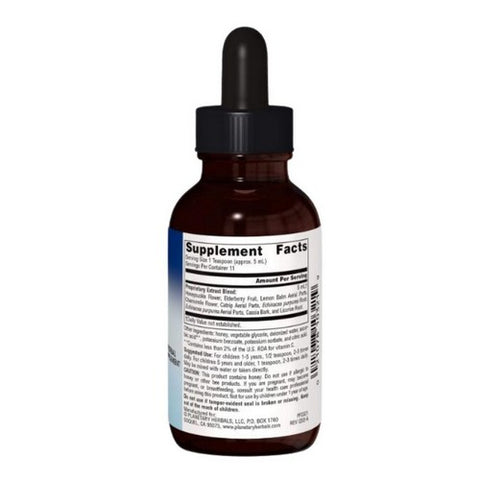Planetary Herbals, Well Child Echinacea-Elderberry Syrup, 2 Fl Oz