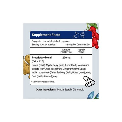 Herbion Naturals, G.I. Support, 60 VgeCaps