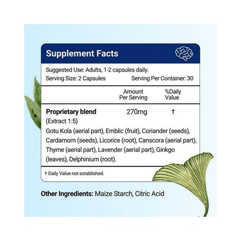 Herbion Naturals, Memory Support, 60 VgeCaps