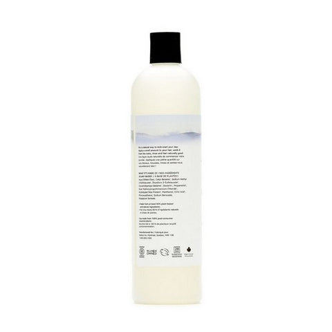 The Unscented Company, Shampoo Daily Liquid, 16.9 Oz