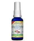 Organic Essential Oil Rosehip 30 Ml by Divine Essence