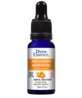 Organic Essential Oil Seabuckthorn 15 Ml by Divine Essence