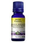 Geranium Rose (Egypt) 15 Ml by Divine Essence