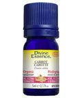 Organic Carrot Extract 5 Ml by Divine Essence