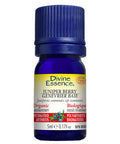 Organic Essential Oil Juniper Berry 5 Ml by Divine Essence
