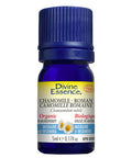 Organic Chamomile Roman Oil 5 Ml by Divine Essence
