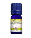 Organic Essential Oil Thyme Red Thymol 5 Ml by Divine Essence
