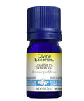 Jasmine  5% Absolute 5 Ml by Divine Essence