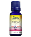 Organic Essential Oil Lavender Spike 15 Ml by Divine Essence