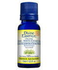 Organic Essential Oil Cedar White (Cedar leaf) 15 Ml by Divine Essence