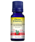 Organic Pine Sylvestre Scotch Wild Essentil Oil 15 Ml by Divine Essence