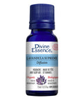 Organic Essential Oil Lavandula Supreme 15 Ml by Divine Essence