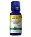 Organic Essential Oil Pine Ocean (Sea) 15 Ml by Divine Essence