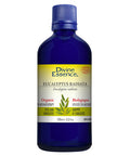Organic Essential Oil Eucalyptus Radiata 100 Ml by Divine Essence