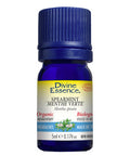 Organic Essential Oil Spearmint 5 Ml by Divine Essence