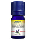 Organic Essential Oil Hyssop 1.8 Cineole 5 Ml by Divine Essence