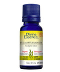 Organic Essential Oil Eucalyptus Radiata 15 Ml by Divine Essence