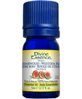 Wild Cedarwood Western Red Essential Oil 5 Ml by Divine Essence