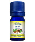 Celery Conventional Essential Oil 5 Ml by Divine Essence