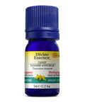 Orgnic Chamomile Blue (Tansy) Essential Oil 5 Ml by Divine Essence