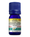 Organic Wild Chamomile (Morocco) Essential Oil 5 Ml by Divine Essence
