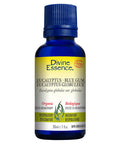 Organic Essential Oil Eucalyptus Blue Gum 30 Ml by Divine Essence