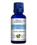 Organic Essential Oil Nordika Forest 30 Ml by Divine Essence
