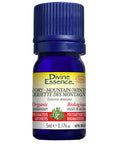 Organic Essential Oil Savory Mountain (Winter) 5 Ml by Divine Essence