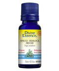 Organic Essential Oil Spruce Hemlock 15 Ml by Divine Essence