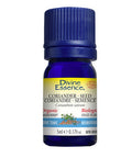 Organic Essential Oil Coriander Seed 5 Ml by Divine Essence