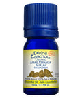 Organic Ammi Visnaga (Khella) 5 Ml by Divine Essence